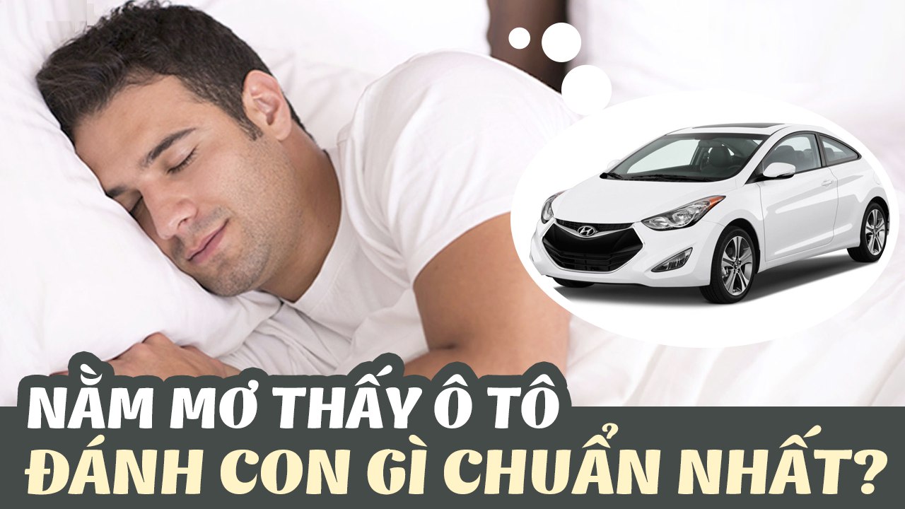 Mơ thấy ô tô đánh con gì? Giải đáp chi tiết điềm lành dữ